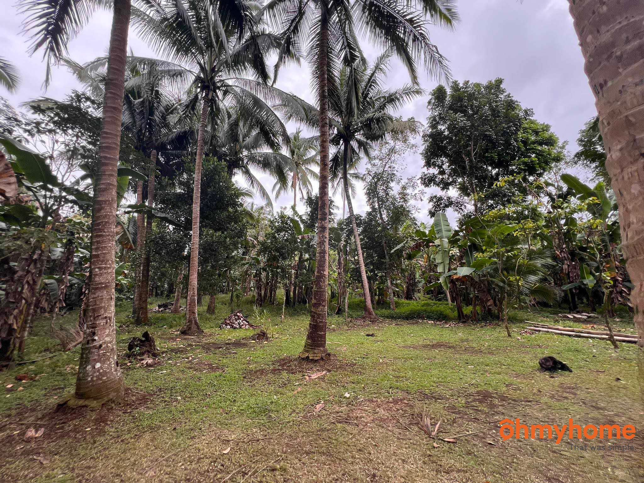 Cavite Alfonso IV (Poblacion) Alfonso Cavite Philippines 4123