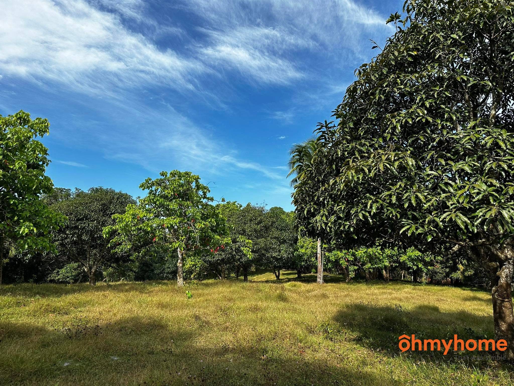 Cavite Indang Banaba Lejos Indang Cavite Philippines 4122